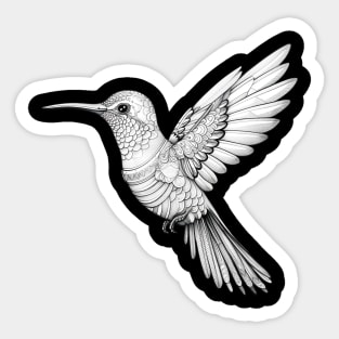 Hummingbird Sticker